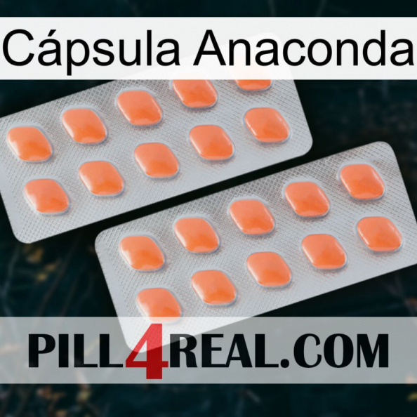 Cápsula Anaconda 27.jpg